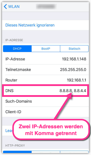 Screenshot, iPhone DNS Server anpassen